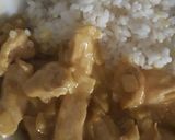 Foto del paso 3 de la receta: Pollo al curry con leche normal