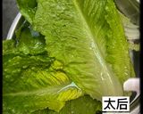 「太后餓了」青蔬沙拉的食譜步驟1照片