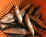Foto del paso 1 de la receta: Sardinas al horno con ajo y perejil