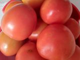 Sambel Kecambah