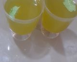 A picture of step 5 of Minty coolers.