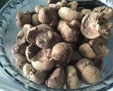 Foto del paso 1 de la receta: Riñones de cordero encebollados al vino blanco y coñac