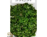 عکس مرحله 3 از دستور کوکوسبزی