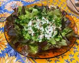 Une image de l'étape 9 de Salade feuille de chêne aux pignons de pin, mozzarella et persil.