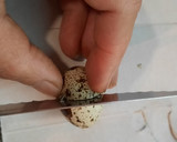 Foto del paso 4 de la receta: Alcachofas con caviar