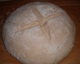 Foto del paso 13 de la receta: Pan rústico