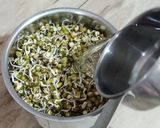 A picture of step 1 of Healthy Sprouts Moong Chila Recipe/Rich Protein Recipe.