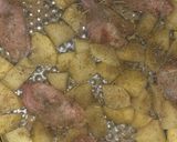 A picture of step 6 of Garlic and herbs roasted potatoes and chicken.