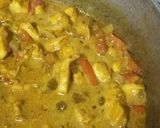 A picture of step 7 of Coconut curry chicken.