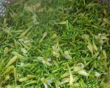 Foto langkah ke 1 dari resep Oseng bunga pepaya (kembang grandel) mix teri gunduL.