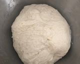 Foto del passaggio 4 della ricetta Pizze al piatto e bianca (67% idratazione)🍕