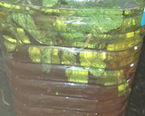 Foto del paso 2 de la receta: Mojitos
