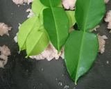 Foto langkah ke 2 dari resep Ayam Suwir, Isian Lemper 🌯.