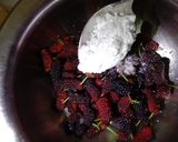 A picture of step 1 of Mulberry cooler.