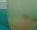 Foto langkah ke 3 dari resep Water Kefir (Basic).