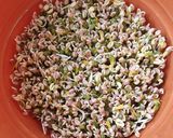 मुग बीन स्प्राऊट्स (mung beans sprouts recipe in marathi)_ रेसिपी स्टेप 5 फोटो 