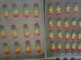 Lidah kucing rainbow