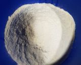 Foto del paso 1 de la receta: Pan pita casero