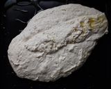A picture of step 4 of Flower Focaccia.