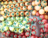 Une image de l'étape 2 de Pizza feuilletée chèvre tomates cerises basilic🐐🍒🍕.