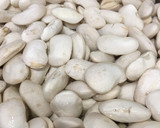 Foto del paso 1 de la receta: Receta de Shiro An - pasta de judía blanca dulce