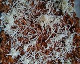 Foto langkah ke 7 dari resep Lasagna.