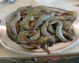 鹽烤白蝦的食譜步驟1照片