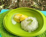 Foto langkah ke 9 dari resep Manggo Sticky Rice.