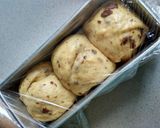 Foto langkah ke 4 dari resep RAISIN BREAD (dg otang&no mixer).