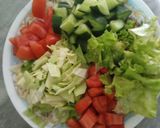 A picture of step 1 of Mix Veggies salad 🥗 with orange 🍊 dressing.
