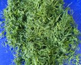 Foto del paso 1 de la receta: Eneldo congelado para usar como fresco