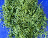 Foto del paso 1 de la receta: Eneldo congelado para usar como fresco