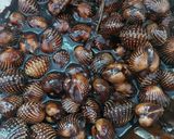 Gambar langkah 12 resipi Kerang masak kicap pekat likat.