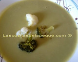 Foto del paso 4 de la receta: Crema de coliflor y brócoli ligera en Thermomix