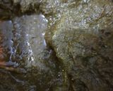 A picture of step 2 of Bread pakora.