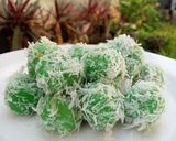 Foto langkah ke 7 dari resep 240. Klepon isi gula merah.