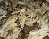 A picture of step 6 of Maqluba with Chicken.