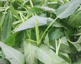 Foto langkah ke 1 dari resep 13. Tumis kangkung.