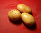 Foto del paso 12 de la receta: Pollo en salsa con patatas guisadas