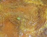 A picture of step 4 of Siwaiyyon ka Zarda.