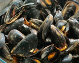 Foto del paso 4 de la receta: Mejillones al vapor con un toque de pimentón