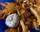 Rókagombás pörkölt recept fázis 1 fotója