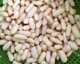 Une image de l'étape 1 de Houmous des haricots blancs.