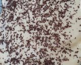 Foto langkah ke 5 dari resep Tiramisu.