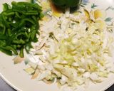 વેજીટેબલ નૂડલ્સ (Vegetable Noodles Recipe In Gujarati) રેસીપી સ્ટેપ1ફોટો