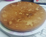 Foto del paso 4 de la receta: Tarta de queso con turrón de Jijona