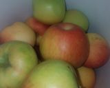 A picture of step 1 of Apple Sauce.