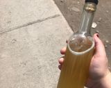 Foto del paso 3 de la receta: Kombucha