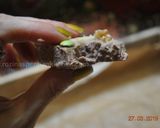A picture of step 10 of Frozen Yogurt  ماست یخ زده.