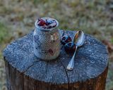 Foto del paso 1 de la receta: Postre de chía y frutos rojos🍒